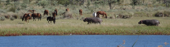 Album photo et carnet de voyages de notre séjour en ranch dans les montagnes du Waterberg en Afrique du Sud - Rando Cheval / Absolu Voyages